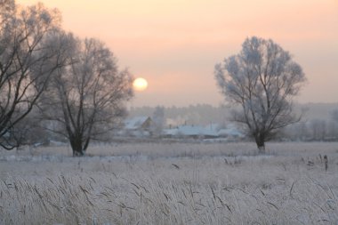 Kışın gündoğumu