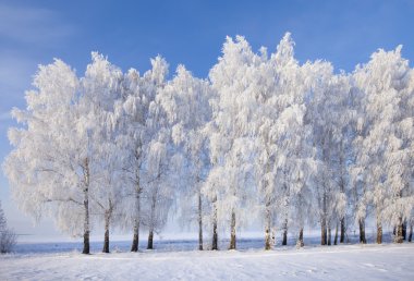 frost ile kış manzarası