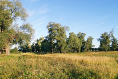 Maltsevo sabah yürüyüş