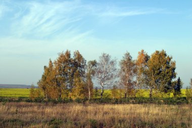 Rus expanses manzara