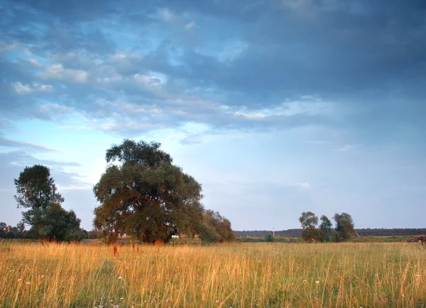 Sommardag landskap — Stockfoto