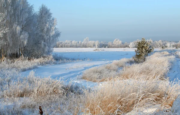 Snöfall vintern skog — Stockfoto