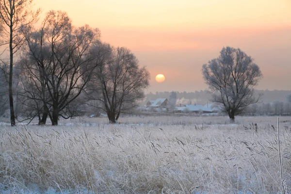 Восход солнца зимой — стоковое фото