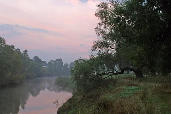 Dawn bir sis Nehri üzerinde