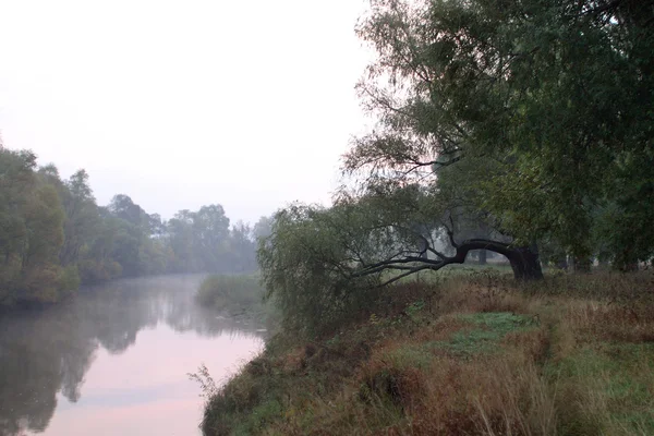 Dawn i en dimma vid floden — Stockfoto