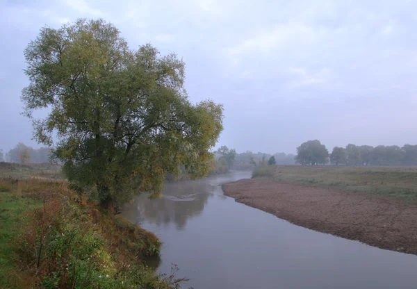 Aube dans un brouillard sur la rivière — Photo