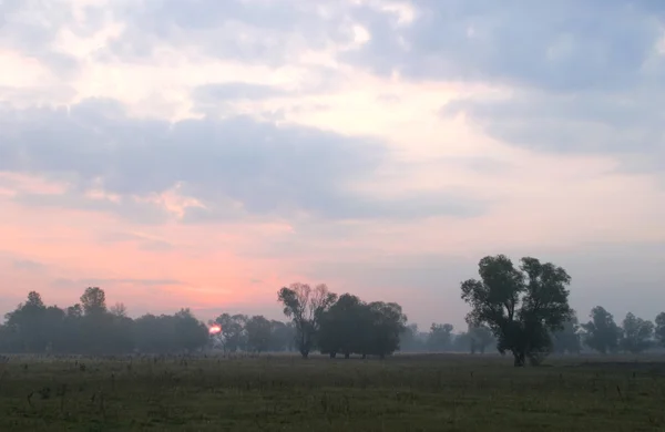 Amanhecer em um nevoeiro — Fotografia de Stock