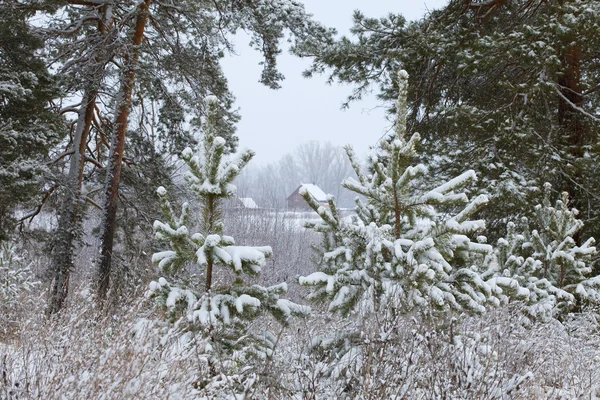下雪的冬天俄罗斯 — 图库照片