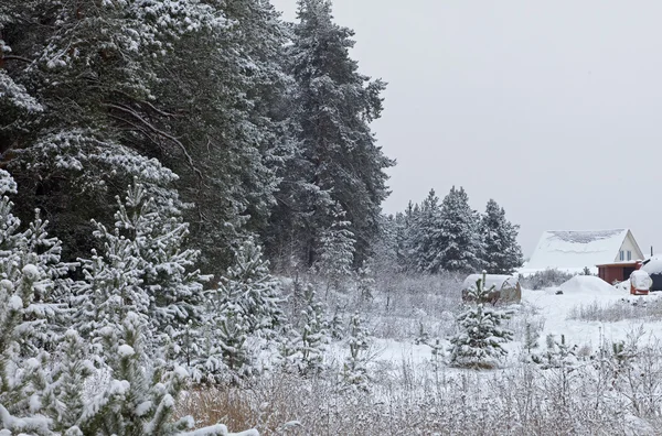 Snörik vinter Ryssland — Stockfoto