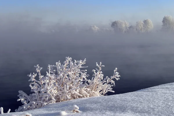 Invierno nevado Rusia —  Fotos de Stock
