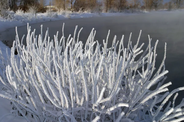 Invierno nevado Rusia —  Fotos de Stock