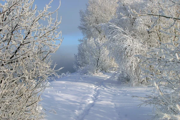 Inverno nevoso Russia — Foto Stock