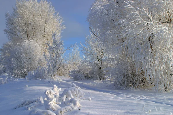 Mroźną zimę z Rosji — Zdjęcie stockowe