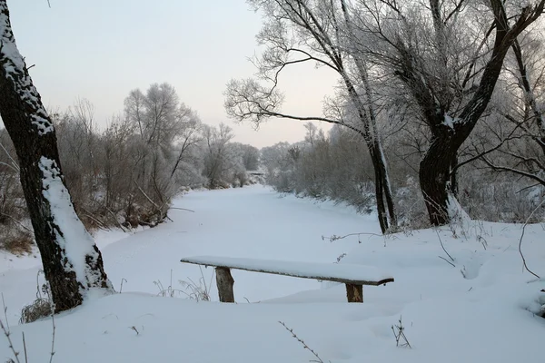 Snowy winter Russia — Stock Photo, Image