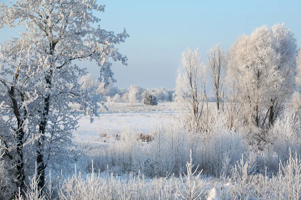 Snörik vinter Ryssland — Stockfoto