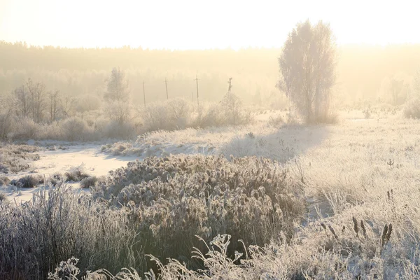 sunrise in winter