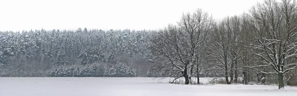 Frosty Russian winter — Stock Photo, Image