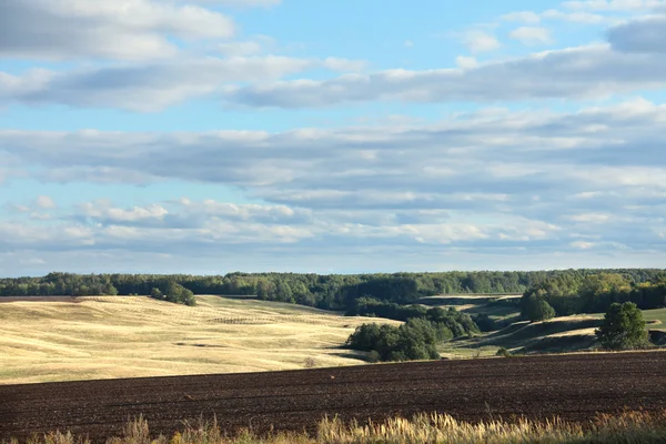 Rosyjskie lato łąki — Zdjęcie stockowe