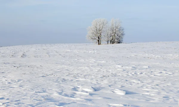 frost ile kış manzarası