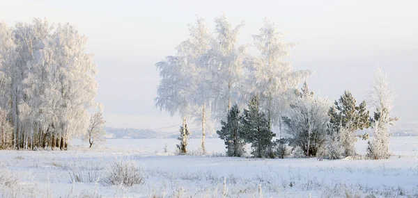frost ile kış manzarası