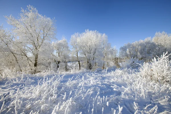 Paesaggio invernale con gelo — Foto Stock
