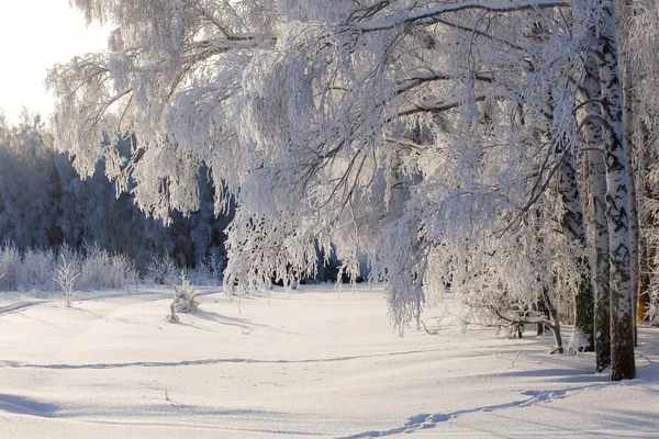 Gelido paesaggio invernale — Foto Stock