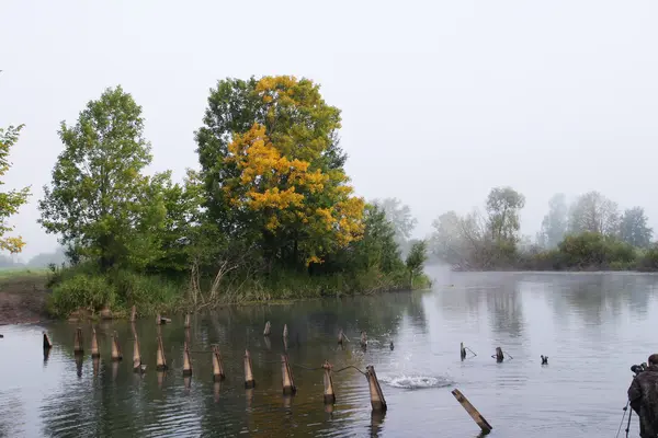 Fotografische Arbeiten am Fluss — Stockfoto