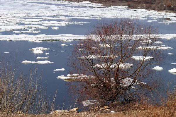 春分期间 冰在河上漂流 — 图库照片