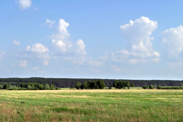 Prachtige lente landschap — Stockfoto