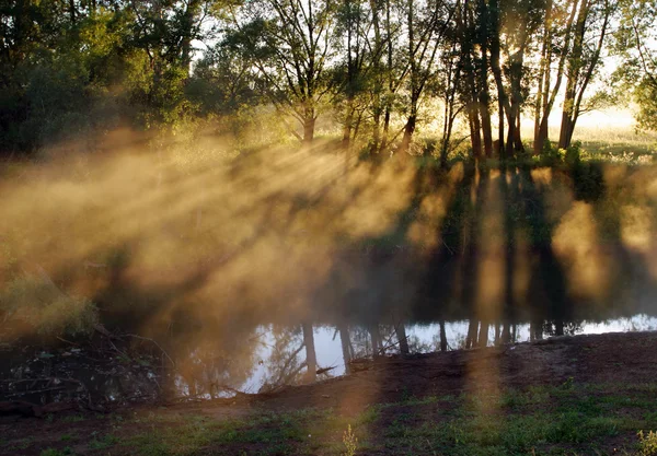Dawn i en dimma vid floden — Stockfoto