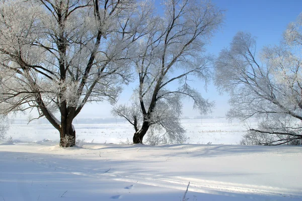 Paisajes de invierno en un día claro —  Fotos de Stock