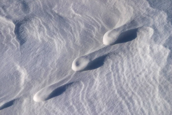 Detail Bizarní Sněhové Závěje — Stock fotografie