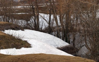 Bulutlu bir günde, ormanın yakınındaki nehrin ilk bahar manzarası