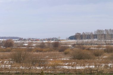 Ormanın yakınındaki bir tarlada ilkbahar manzarası