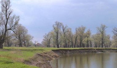 Peyzaj nehri Toima ve meşe koruluğu ilkbaharın başlarında güneşli bir günde