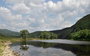 Güneşli bir günde Ural dağlarının ve nehirlerin yaz manzarası