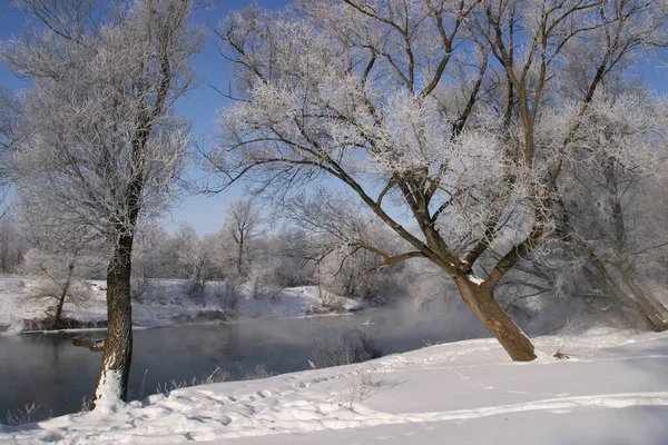 Zimowy Krajobraz Mglisty Poranek Nad Rzeką Zai — Zdjęcie stockowe