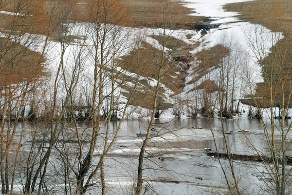 Bulutlu Bir Günde Ormanın Yakınındaki Nehrin Ilk Bahar Manzarası — Stok fotoğraf