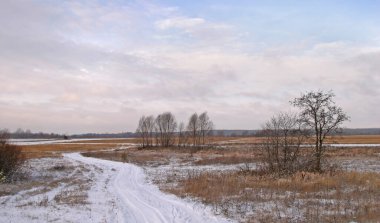 Ormanın yakınındaki çayırlık kışın ilk karla kaplıydı.