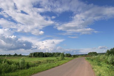 Yaz manzarası güzel beyaz bulutlar yeşil çayırlar üzerinde güneşli bir günde