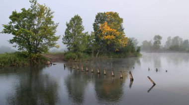 Şafak vakti ormanın yakınındaki nehirde yoğun sis manzarası