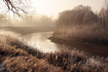 Kış başlangıcında nehir kıyısındaki koruluklar ve günbatımında donla kaplı ağaçlar.
