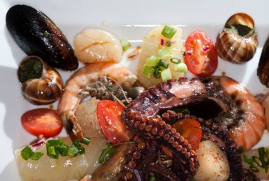 Beyaz tabak stüdyosunda çeşitli deniz ürünleri.