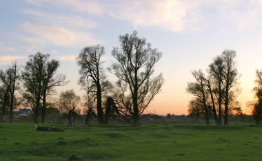 İlkbahar günbatımı Oak Grove yakınlarındaki nehirde.