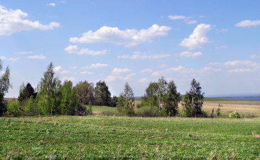 Yazın yeşil alanlar ve ağaçlar mavi bulutlu gökyüzüne ve ufuktaki nehre karşı.