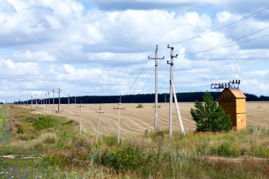 Yaz manzarası resimli tarlalar, çayırlar ve içinden geçen elektrik hatları.