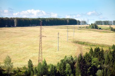 Yaz manzarası resimli tarlalar, çayırlar ve içinden geçen elektrik hatları.