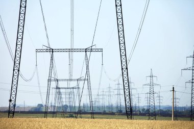 Yaz manzarası resimli tarlalar, çayırlar ve içinden geçen elektrik hatları.