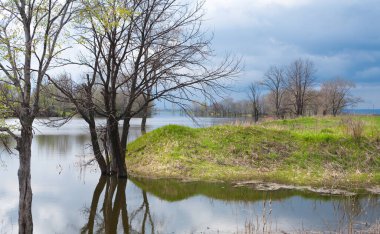 Baharın erken saatlerinde ayna gibi pürüzsüz bir nehirde manzara ve bulutlu bir günde yeşil çimenli bir ağaç.