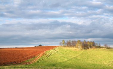 Yeşil tarlaların, ekilebilir arazilerin ve yağmurdan sonra bulutlu gökyüzünün güzel baharı.